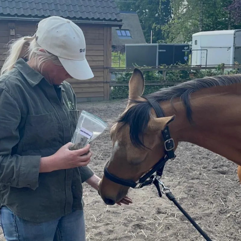 Angelique laat een pony aan een potje kruiden ruiken